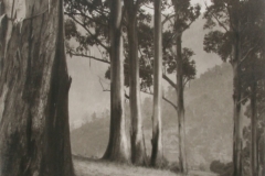 01 009 W Howieson  Warburton  1930.jpg