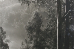 01 011 W Howieson  Across the Valley  1950.jpg