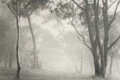 01 016 W Howieson - Morning mist .1949 ..jpg
