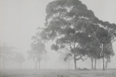 01 020 W Howieson  Burnley Park  1940 .jpg