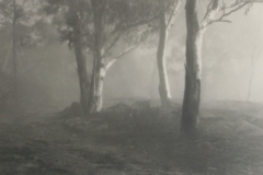 01 024 W Howieson  A silver morning  1950.jpg